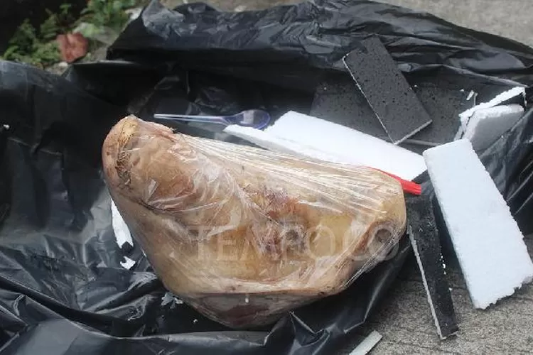 Kantor Tempo Mendapat Kiriman Kepala Babi dari orang tak dikenal. (Foto: Tempo)