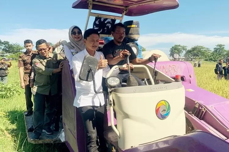 Bupati Pandeglang Dewi Setiani usai melaksanakan panen raya padi di Kampung Bengras, Desa Sukanagara, Kecamatan Carita, Senin (7/4/2025).