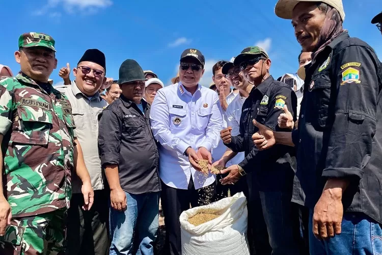 Wali Kota Serang, Budi Rustandi menghadiri kegiatan Panen Raya Padi Serentak di 14 Provinsi yang diselenggarakan di Kelompok Tani (Poktan) Suryajaya, Kasemen, Senin (7/4/2025)