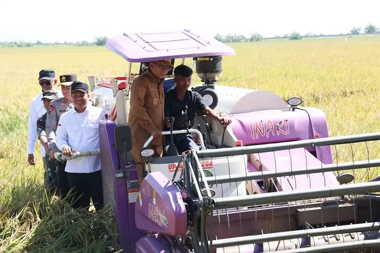 Gubernur Banten Andra Soni saat mengikuti  di Desa Pamengkang, Kecamatan Kramatwatu, Kabupaten Serang, Senin (7/4/2025). panen raya 