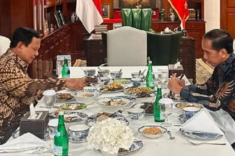 Pertemuan Presiden Prabowo dan Mantan Presiden RI Joko Widodo Desember 2024 lalu. (instagram.com/jokowi)