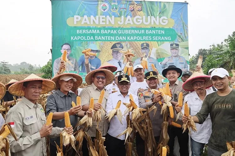 Andra Soni usai melakukan Panen Raya Jagung Bersama Kelompok Tani Budi Makmur di Desa Rancasumur, Kecamatan Kopo, Kabupaten Serang, Sabtu (12/4/2025).