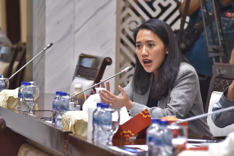 Anggota DPR Puteri Komarudin Minta Pemerintah Negosiasikan Tarif Impor dengan AS