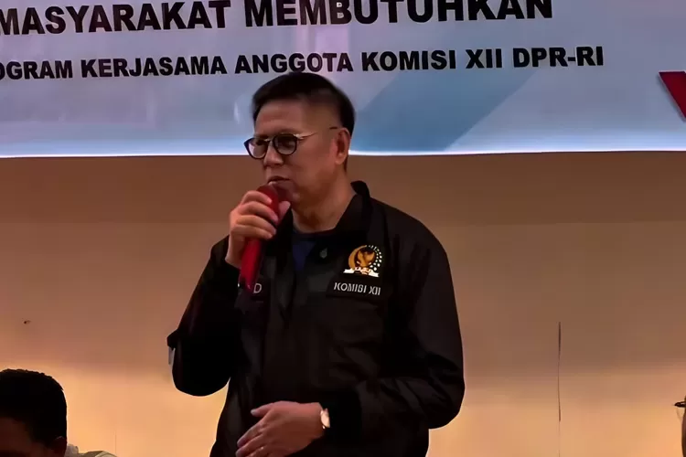 Anggota Komisi XII DPR RI Mulyadi