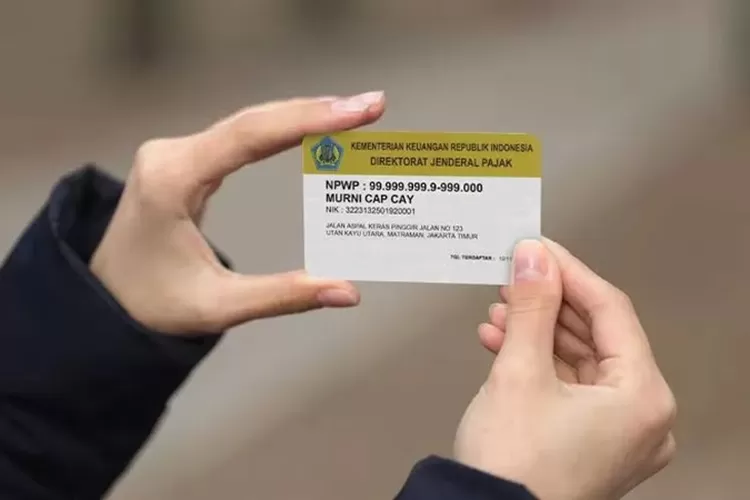 Ilustrasi NPWP (Dok.Net)