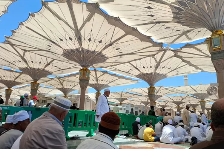 Ilustrasi Pemerintah Beri Perlindungan Asuransi bagi Jamaah Haji 2024: Langkah Bijak untuk Keamanan Ibadah (Kemenag)