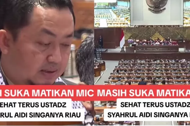 Mic mati saat salah satu anggota DPR RI menyampaikan interupsi (tiktok Dpc Tenayan)