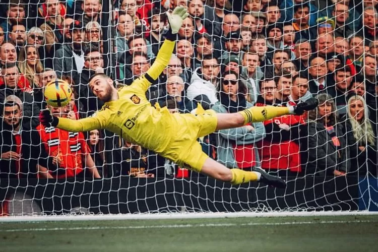David de Gea dilaporkan masuk dalam buruan Newcastle  (Instagram @d_degeaofficial)
