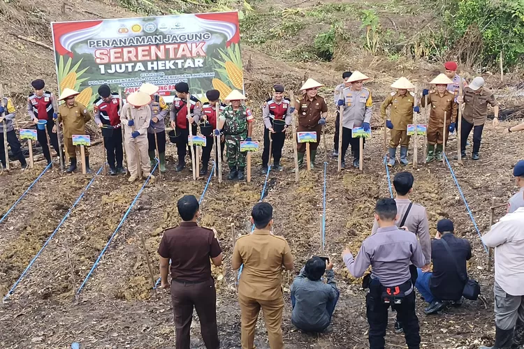 Pj Bupati Mura Hermon bersama Porkopimda melaksanakan penanaman jagung serentak, Selasa (21/01) (kalteng lima)