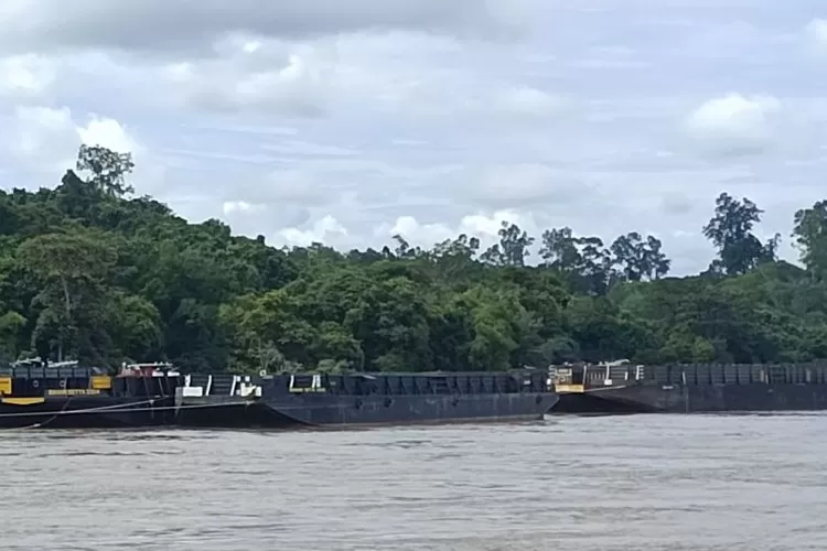 Kapal pengangkut batu bara saat tambat di Sungai Barito wilayah Barito Utara, Kalteng. Foto: Rohman/suaradayak.com