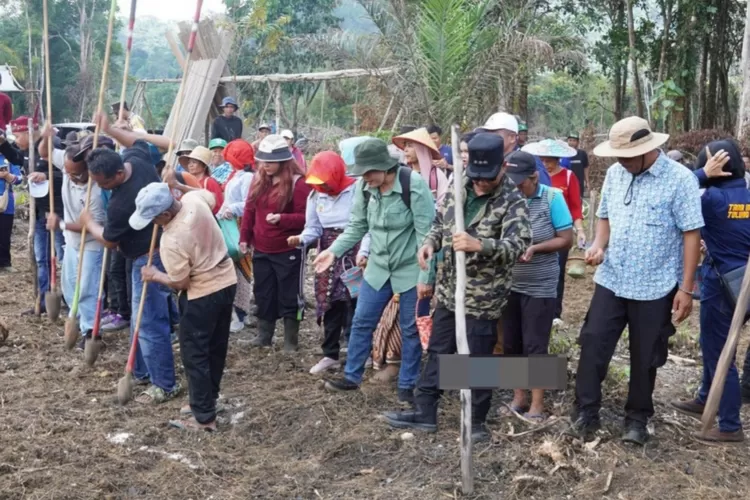 upati Murung Raya (Mura) Heriyus bersama jajaran Forkopimda dan stakeholder terkait melaksanakantanam padi gogo di Kelurahan Saripoi, Kecamatan Tanah Siang, Selasa (14/10/2025).  (foto : Kalteng Lima)