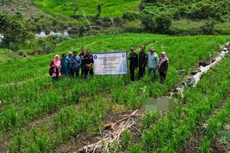 Kolaborasi Pemkab Mura dan IPB Perkuat Pertanian Padi Gogo Berkelanjutan (foto : Diskominfo SP Mura)