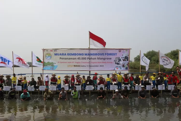 Tab Group Indonesia Tanam Ribuan Mangrove Di Pesisir Muara Gembong