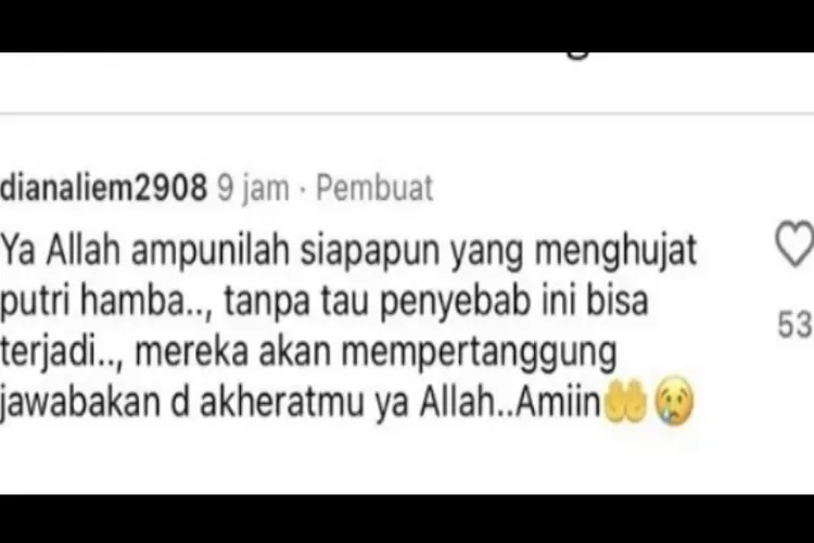 Tangkapan layar kontroversial ibunda Julia Prastini melalui akun instagram pribadinya @dianaliem2908