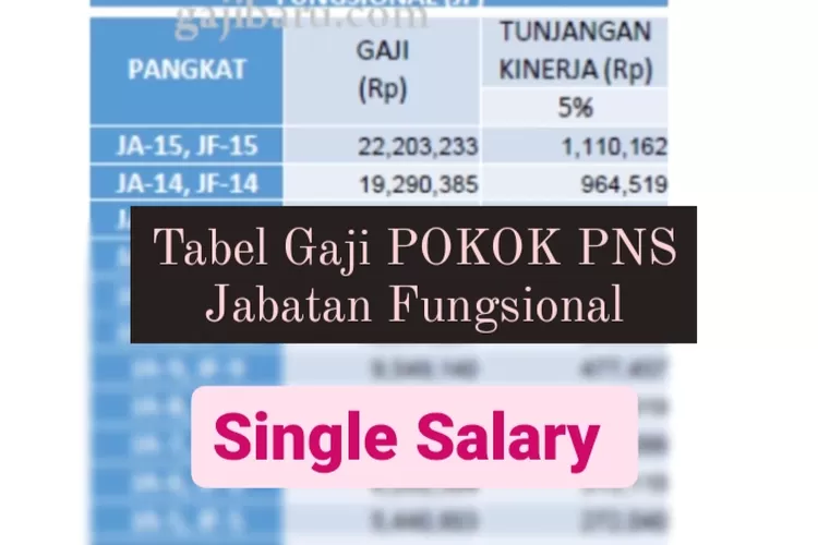 Segini Gaji Yang Akan Didapatkan Pns Jabatan Fungsional Dalam Single Salary Tembus Hingga Rp22 1573