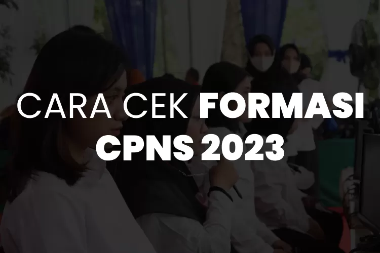 INILAH CARA CEK FORMASI CPNS 2023, JANGAN LEWATKAN KESEMPATAN EMAS INI ...