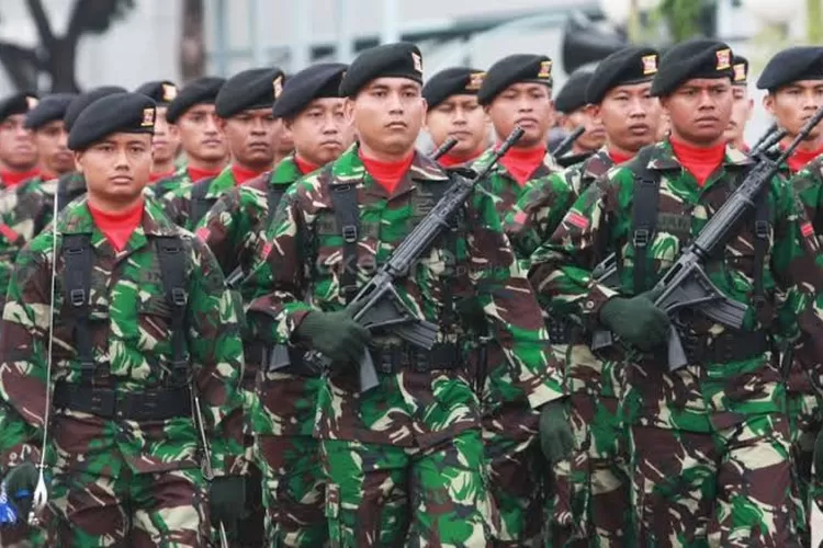 Pasca Naik Persen Intip Tabel Gaji Pokok TNI Segini Nominal Pangkat Tamtama Hingga