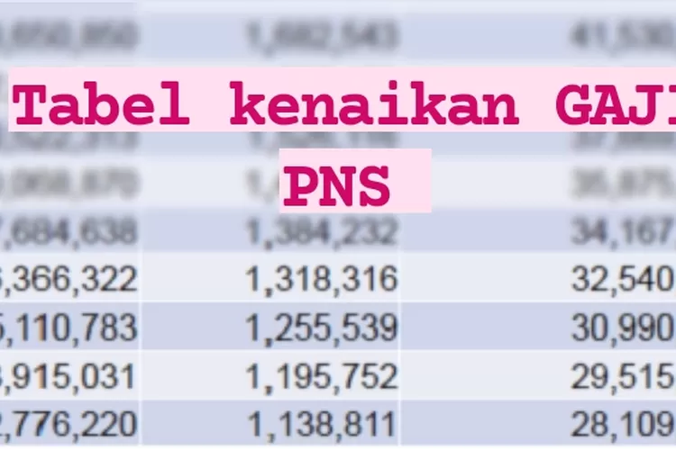 Inilah Tabel Indeks Kenaikan Gaji Pns Dalam Skema Single Salary Berlaku Hot Sex Picture 5372