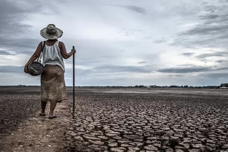 Waduh Gawat! Fenomena El Nino Diprediksi Masih Berlangsung Hingga Awal ...