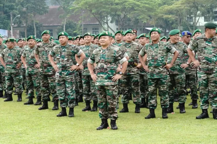 Tabel Gaji Tni Pangkat Tamtama Hingga Perwira Tinggi Bulan November Pasca Gaji Resmi Naik