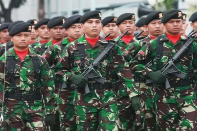 Ini Tabel Gaji Pada Tni Pangkat Tamtama Hingga Perwira Tinggi Di Bulan November Jumlahnya Rp