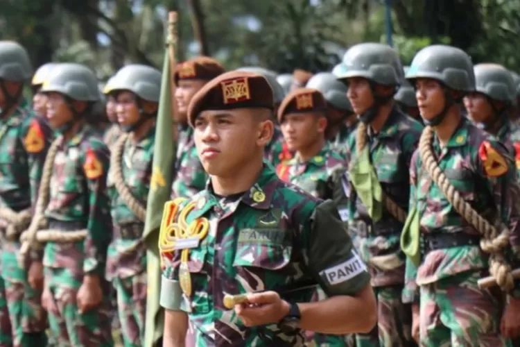 Inilah Tabel Gaji Prajurit Tni Pangkat Prada Berdasarkan Masa Kerja Yang Telah Disetujui Jokowi