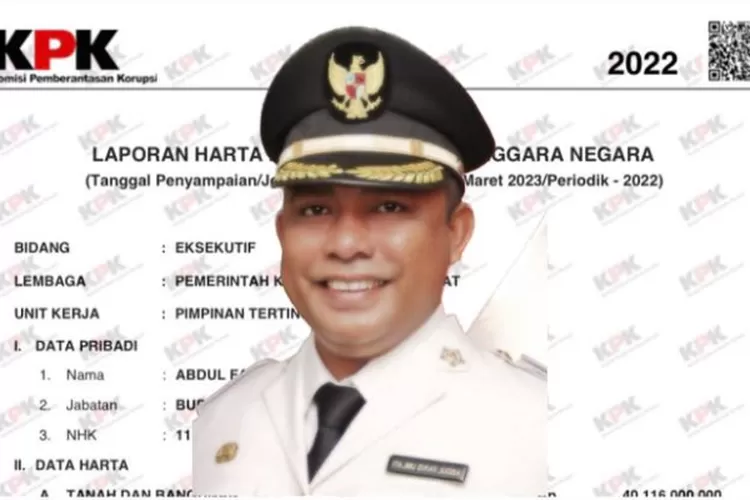 Abdul Faris Umlati Bupati Raja Ampat: Miliki Dua Kapal Laut Senilai Rp7 ...