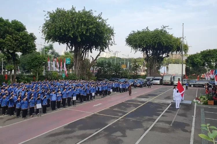 UU ASN Sah! 2,3 Juta Tenaga Honorer Di Indonesia Boleh Bernapas Lega ...