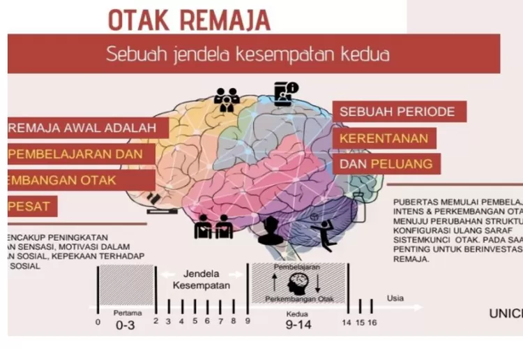 Kesehatan Mental Remaja Sebuah Jendela Untuk Penerus Bangsa, Begini ...