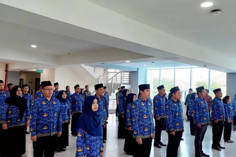 Berapa Formasi CPNS Dosen di Tahun 2024 Pusat, Ini Infonya, Lebih dari