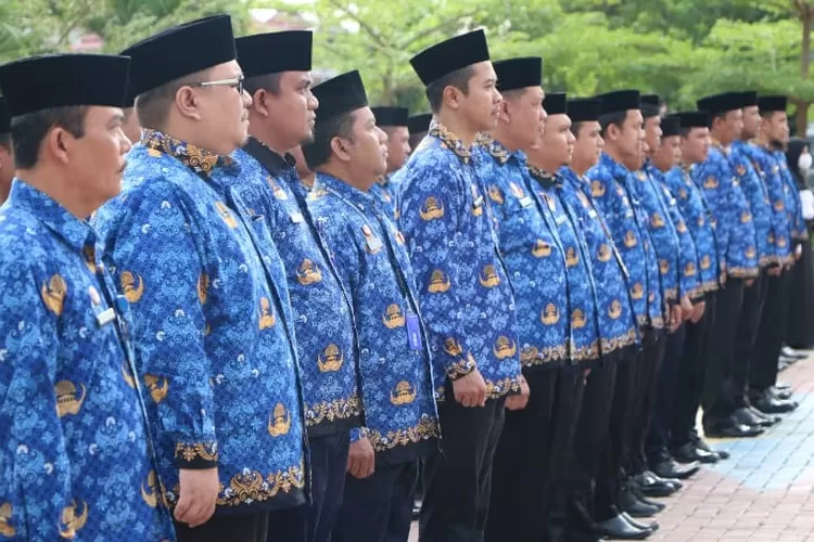 Aturan Batas Usia Pensiun PNS Tahun 2023, BKN Tetapkan Bukan Umur 58 ...