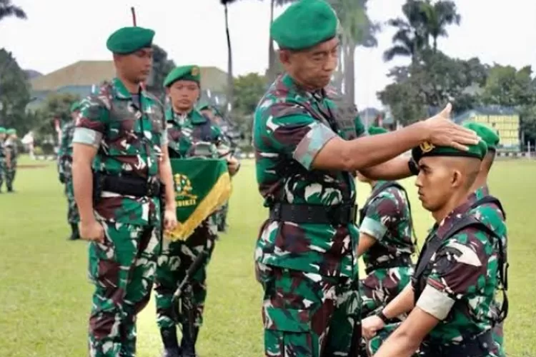 Inti Besaran Gaji Yang Diperoleh Tni Mulai Dari Tamtama Bintara Hingga Perwira Lengkap Dengan