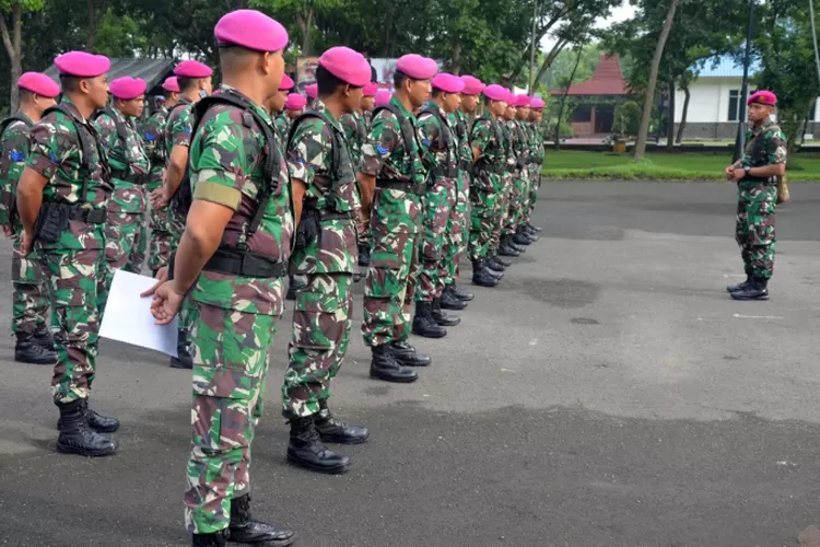 H-7 Cair, Segini Besaran Gaji TNI Tamtama Hingga Perwira Tinggi Bulan ...