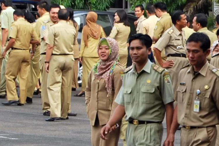 Honorer Yang Tidak Lulus Seleksi PPPK, Jangan Kecewa Masih Ada ...