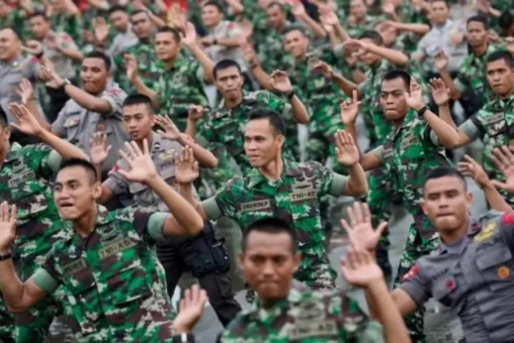 Tunjangan Dan Gaji TNI Pangkat Tamtama Hingga Perwira Pasca Naik Persen Pada Desember