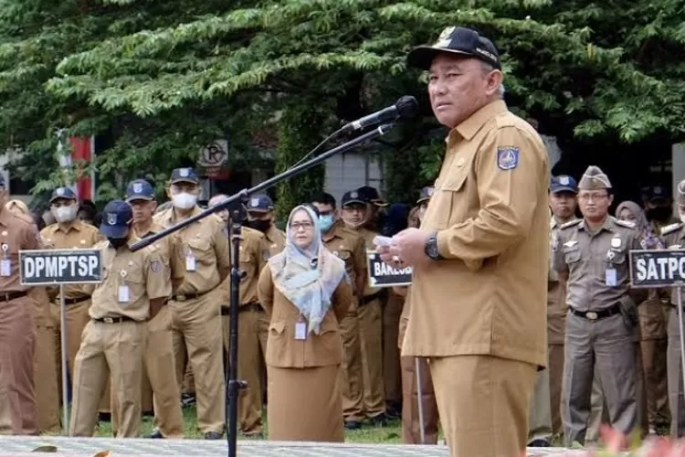 Honorer Yang Telah Diprioritaskan Oleh Pemerintah Ini Akan Diangkat