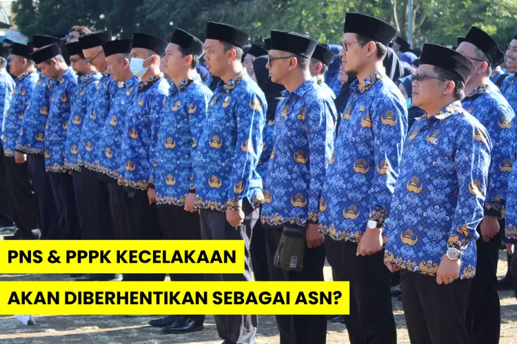 Undang Undang Asn Terbaru Sudah Disahkan Pns Dan Pppk Yang Kecelakaan Bisa Diberhentikan 1632