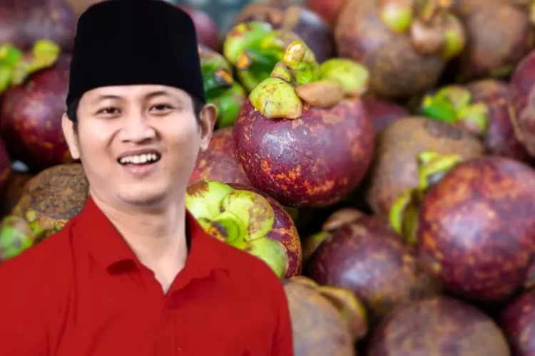 Buah Manggis Di Daerahnya Melimpah Tembus 89 Ribu Kuintal, Inilah Harta ...