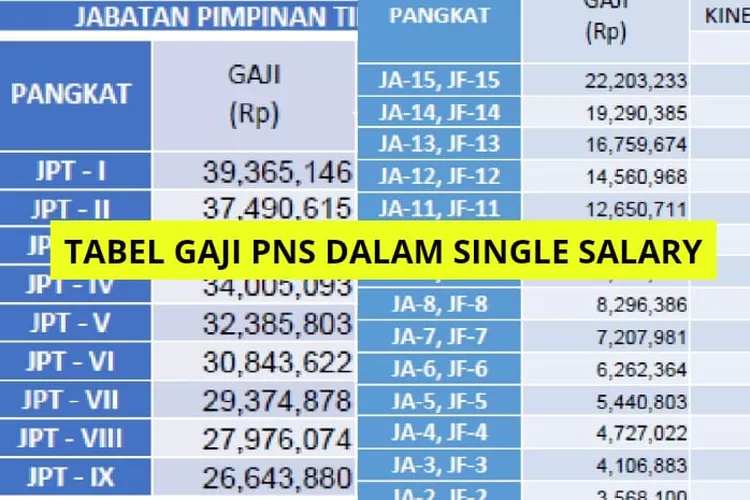 Gaji PNS Jabatan Fungsional Dalam Single Salary Tembus Rp22 Juta Per ...