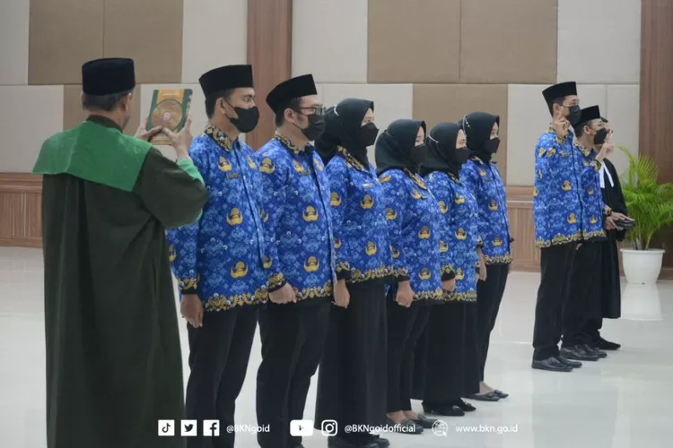 ADA BERAPA TAHAPAN? Berikut Ini Merupakan Tahapan Tenaga Honorer Sampai ...