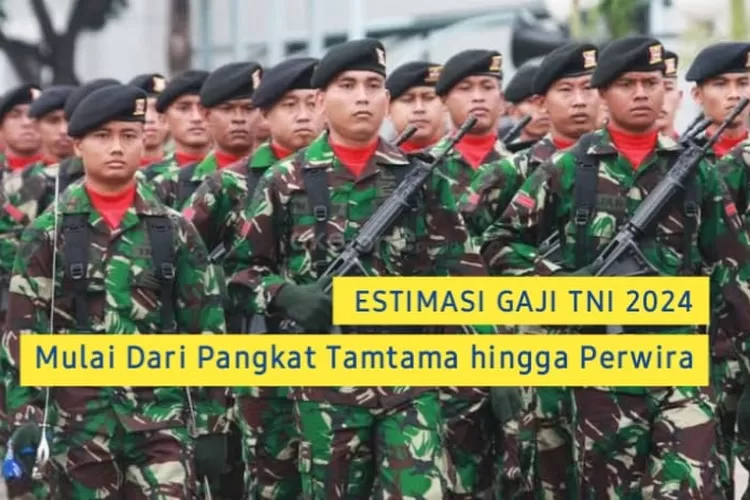 Daftar Gaji Prajurit TNI Dari Golongan Tamtama Hingga Perwira Segini Gaji Baru Pasca Naik