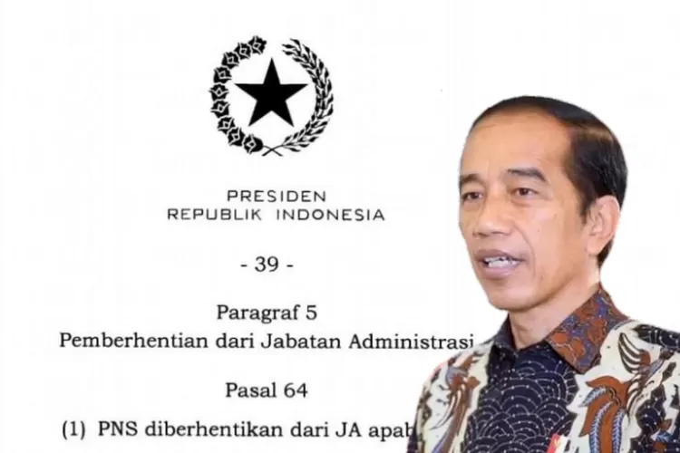 Berdasarkan Peraturan Yang Diteken Jokowi, Berikut Ini 6 Penyebab PNS ...