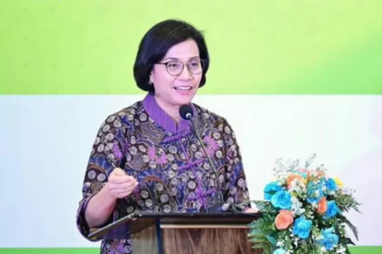 Di Luar Kenaikan Gaji, Sri Mulyani Resmikan Tunjangan Ini Bagi PNS ...