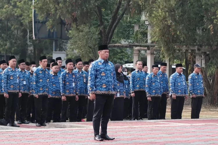 TAHUN 2024 PRESIDEN JOKOWI AKAN RESMI MEROMBAK GAJI PNS GOLONGAN I, II ...