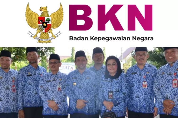 KEPUTUSAN BKN TENTANG BATAS USIA PENSIUN PNS JABATAN FUNGSIONAL TELAH ...