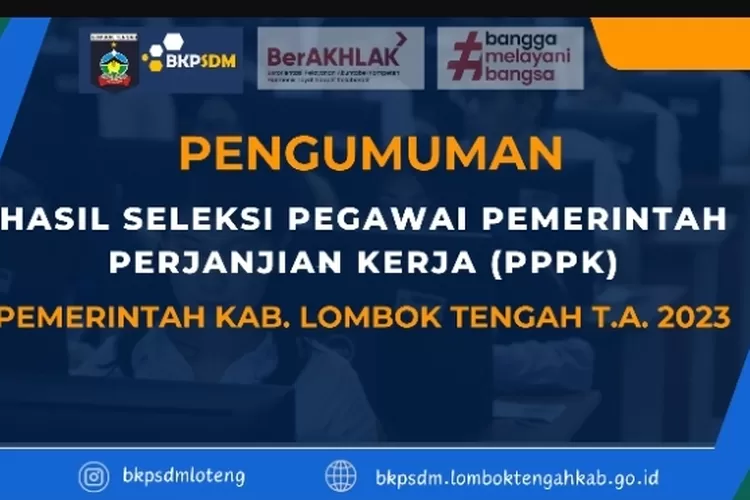 Update Pengumuman Hasil Kelulusan PPPK Tahun Anggaran 2023 Pemkab ...