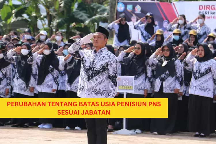 PERUBAHAN BATAS USIA PENSIUN PNS DITETAPKAN BERDASARKAN JABATAN, SAYANG ...