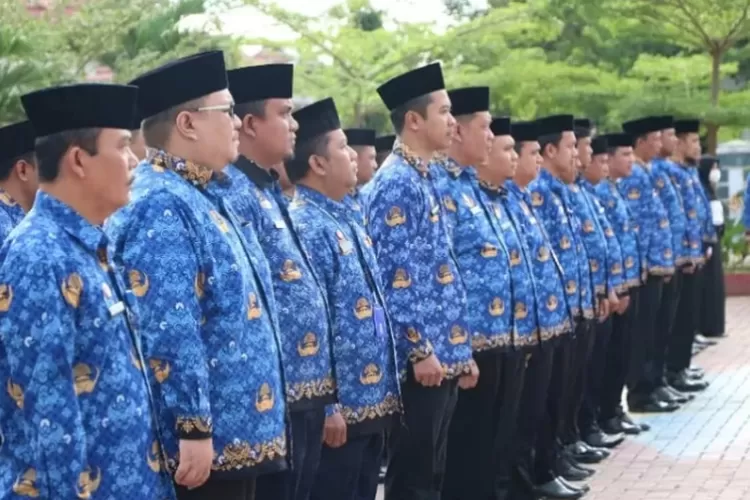 Perekrutan CPNS 2024 Berfokus pada Fresh Graduate, 10 Kampus Unggulan