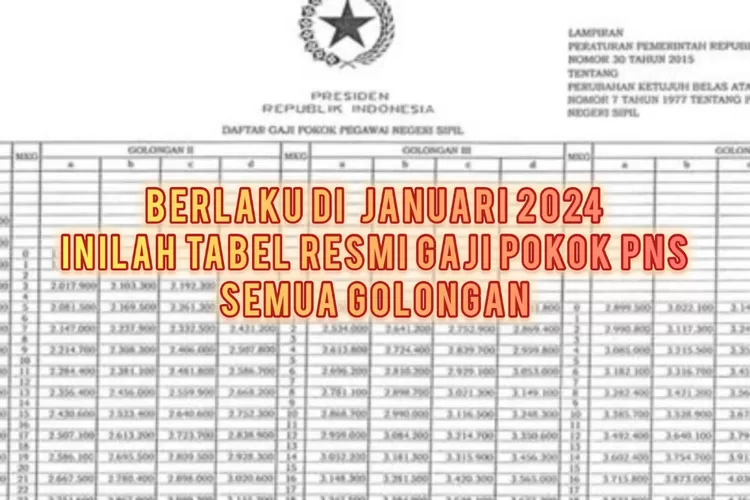 TETAP BERSYUKUR, NEGARA BERIKAN GAJI POKOK PNS SELURUH INDONESIA PADA ...