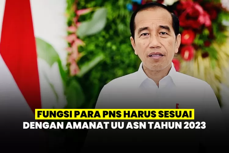 Fungsi Pegawai Negeri Sipil di Indonesia Seharusnya Sesuai dengan ...